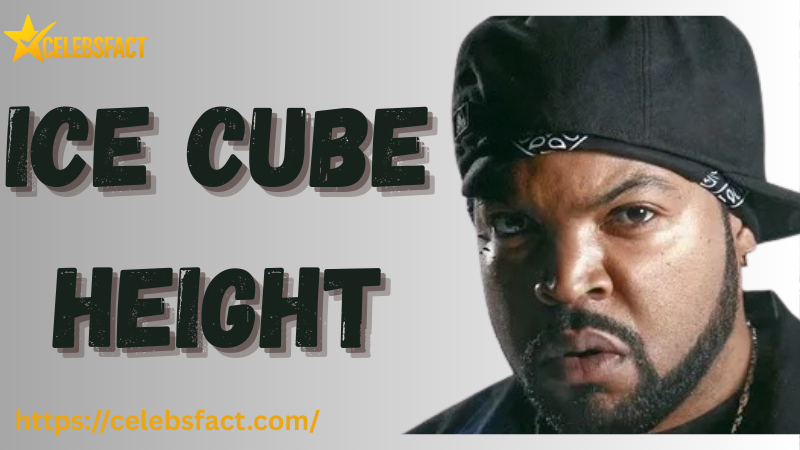 Ice Cube height